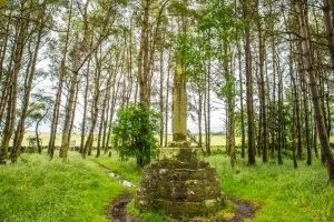 The Percy Cross, Otterburn