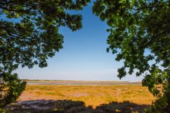 Looking towards Tern Island