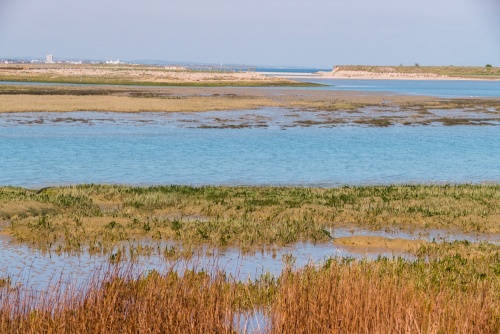 Pagham Harbour Local Nature Reserve
