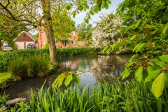 A pretty pond on Crossing Road