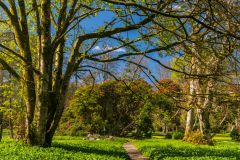 Trails through the informal gardens