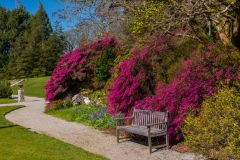 A garden bench near the Grotto