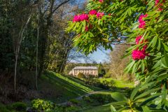 The house framed by spring flowers