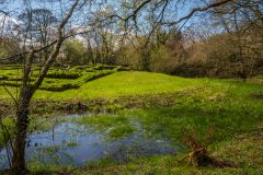 The manor moat from the east