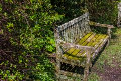 A quiet bench to enjoy the lush greenery