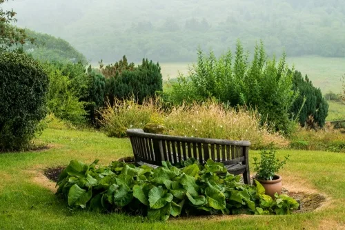A garden bench in the lower garden