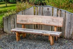 A quiet garden bench