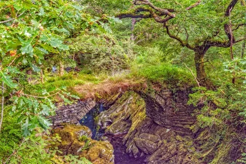 Another upstream view