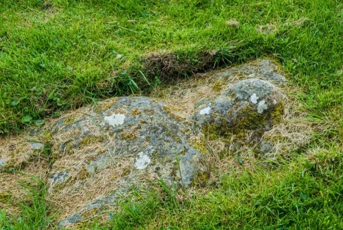 The knight's lady relief effigy