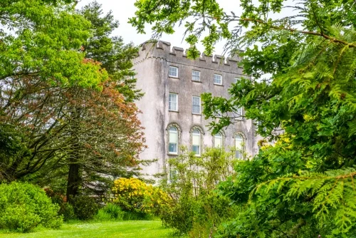 The castle glimpsed from the garden