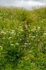 The western slope of the barrow