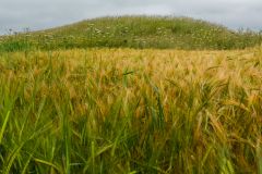 The southern end of the barrow