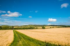 The view east from the windmill tower
