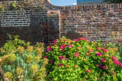 A small garden area beside the pond