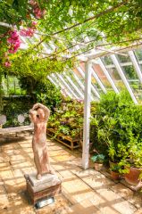 Pashley Manor Gardens, Inside the Victorian greenhouse