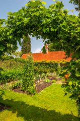 Pashley Manor Gardens, A floral arch in the kitchen garden