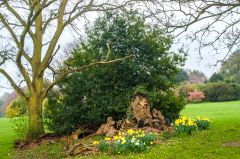 St Cedd's Gospel Oak