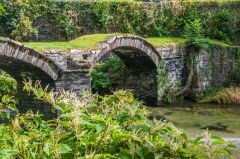 Another view from upstream