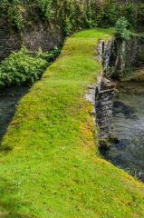 Looking across the turf bridge-top
