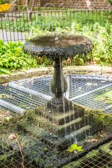 The fountain in summer