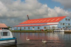 Swans on the River Thurne at Potter Heigham