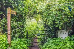 The overgrown church path