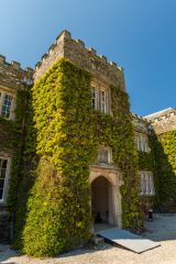 The ivy-clad house entrance