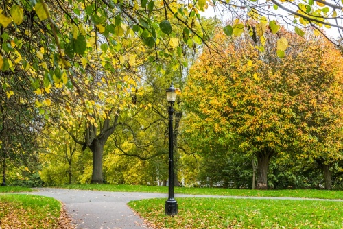 Primrose Hill in autumn