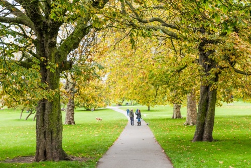 Walking on Primrose Hill