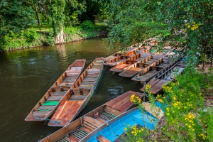 Punts moored at Magdalen Bridge