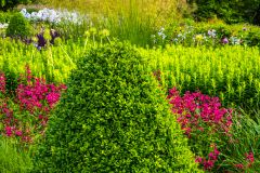 The colourful Main Borders