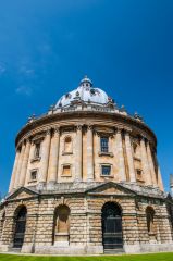 The Camera from ground level