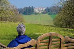A distant view of Ragley from the grounds