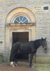 The stables are still in use