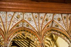The painted screen canopy