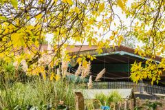 ZSL London Zoo from the park