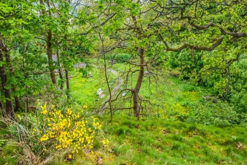 Looking down from the top of the castle mound