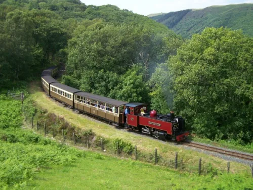 Vale of Rheidol Railway steam train