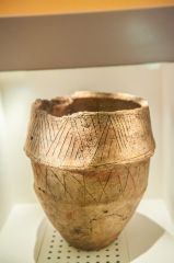 A Bronze Age cremation urn