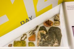 Richard III Centre, Archaeological finds from the site