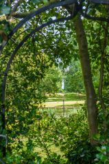 The 'protected' view towards St Paul's Cathedral
