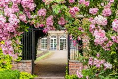 The colourful walled garden