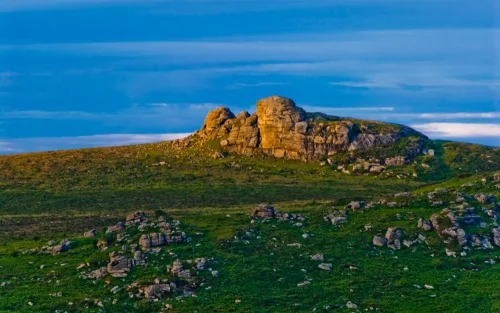 Rippon Tor