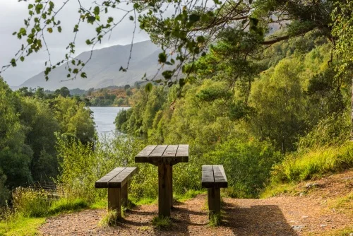 The River Affric picnic area with Loch Affric beyond