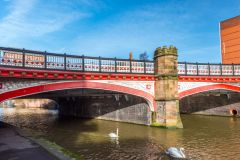 Swans on the River Soar