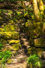 The Hidden Rock Garden