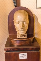 Robert Owen Memorial Museum, A life mask of Owen's head at age 53