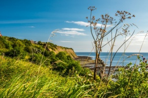Looking along the coast