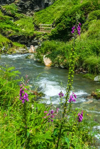 The River Trevillet from the Labyrinths