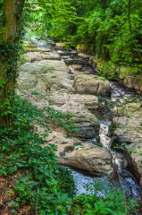 The River Greta from the riverside walk